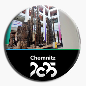 Versteinerter Wald - The Chemnitz Petrified Forest is an important paleobotanical fossil site. The fossilized forest finds (including the largest plant fossil on the European continent) exhibited at the TIETZ