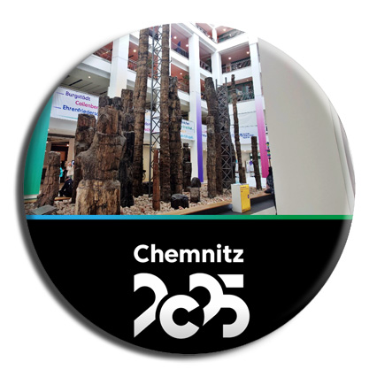 Versteinerter Wald - The Chemnitz Petrified Forest is an important paleobotanical fossil site. The fossilized forest finds (including the largest plant fossil on the European continent) exhibited at the TIETZ